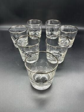 Vintage MCM Sportsman Game Birds Set of 7 Federal Whiskey Glasses Silver Rim
